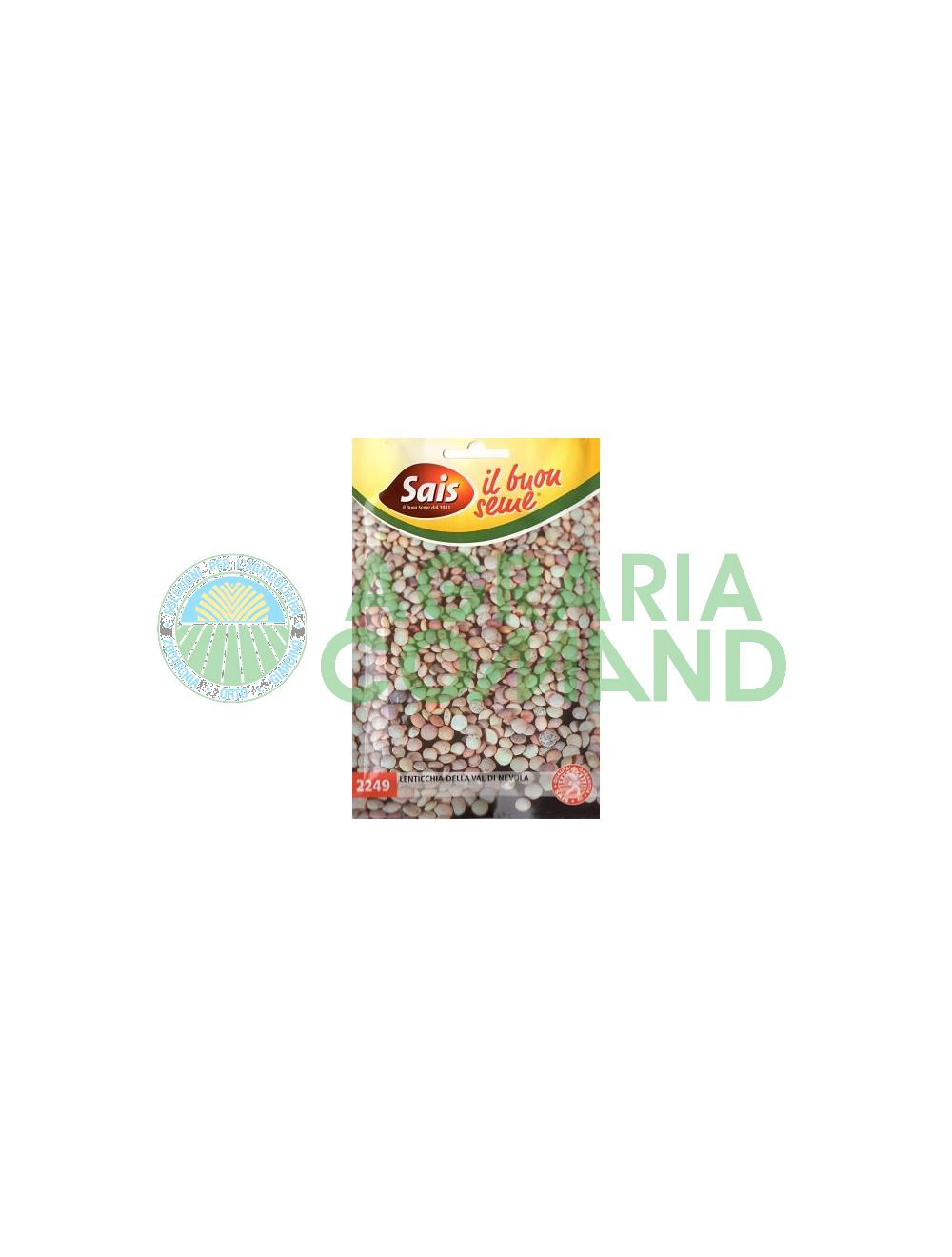 Lenticchia_da_seme_di_Nevola