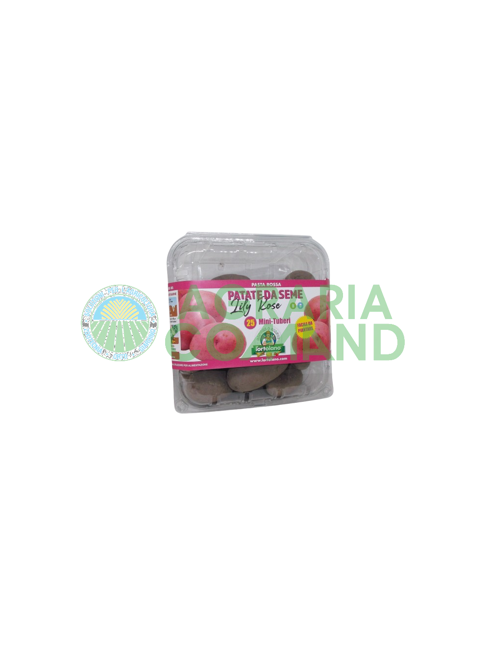 Confezione patate da semina Lilly Rose