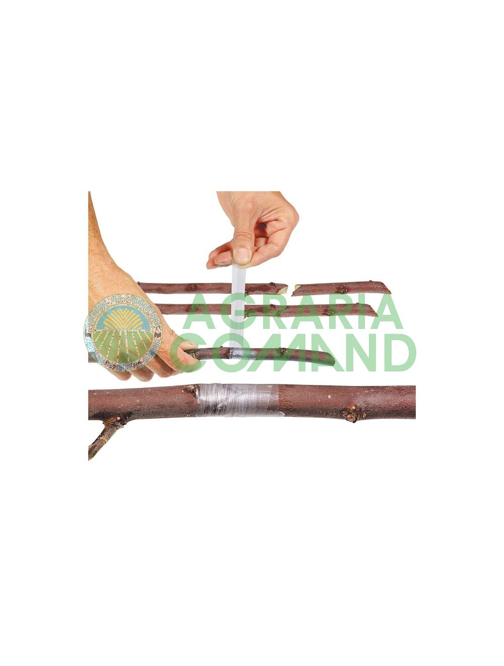 Nastro Buddy Tape