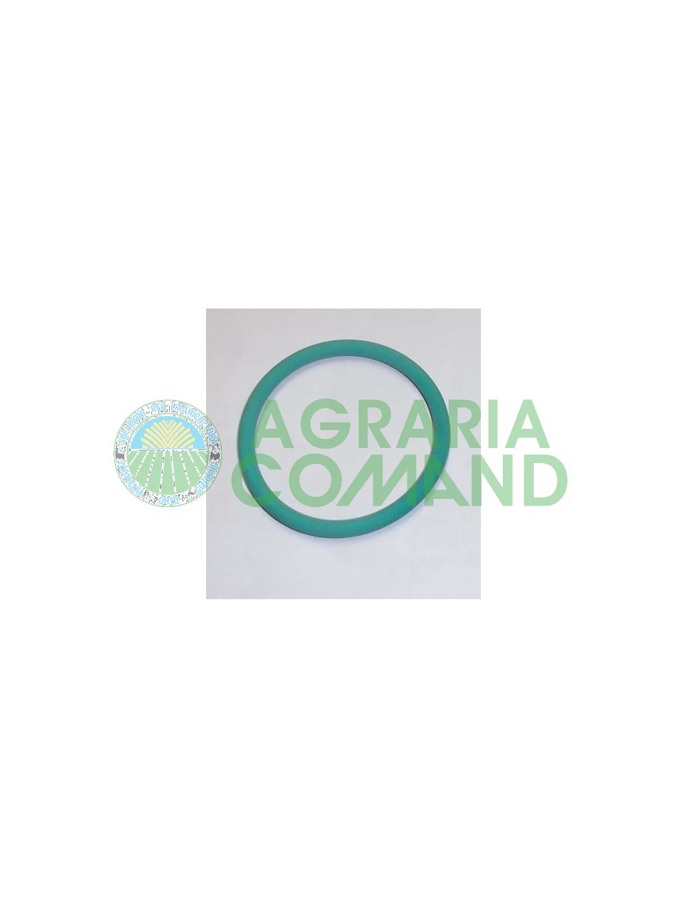 or_ZZOR6225V_per_pompa_Garden