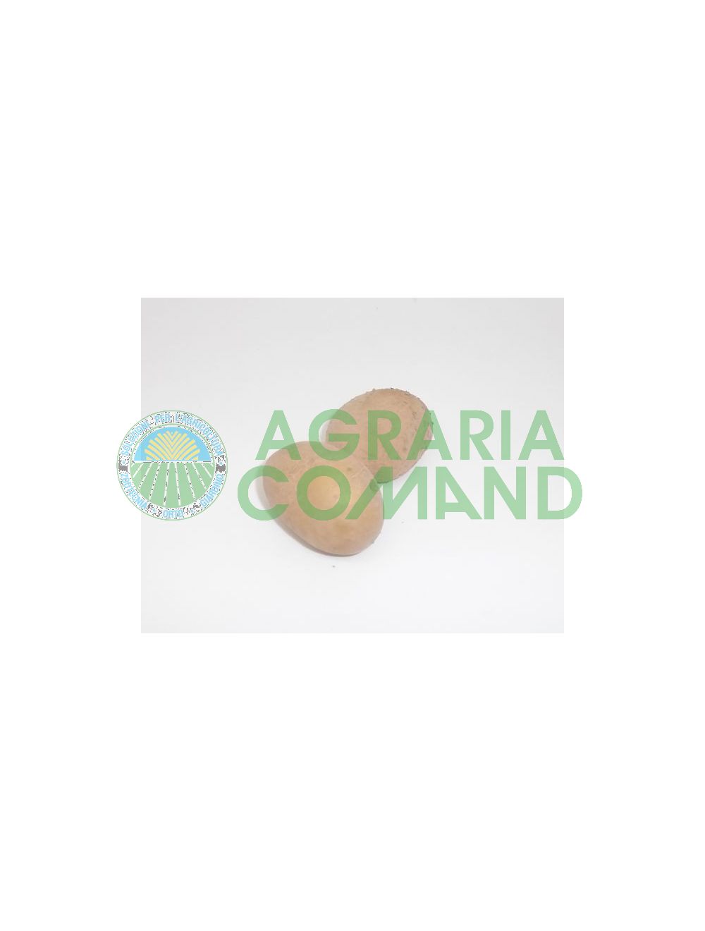 Patate primura