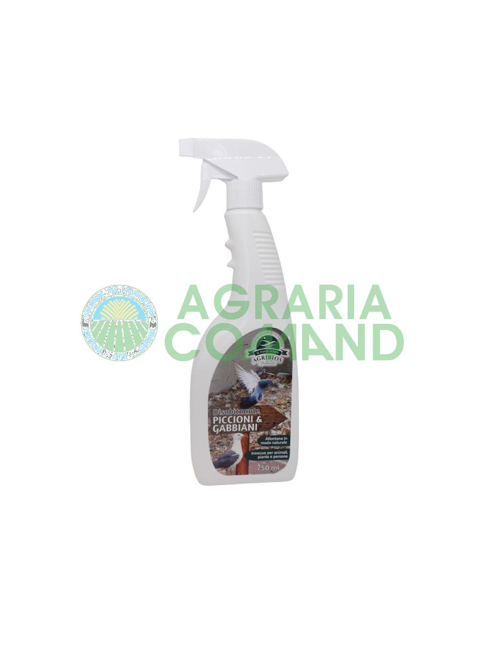 Spray piccioni e gabbiani