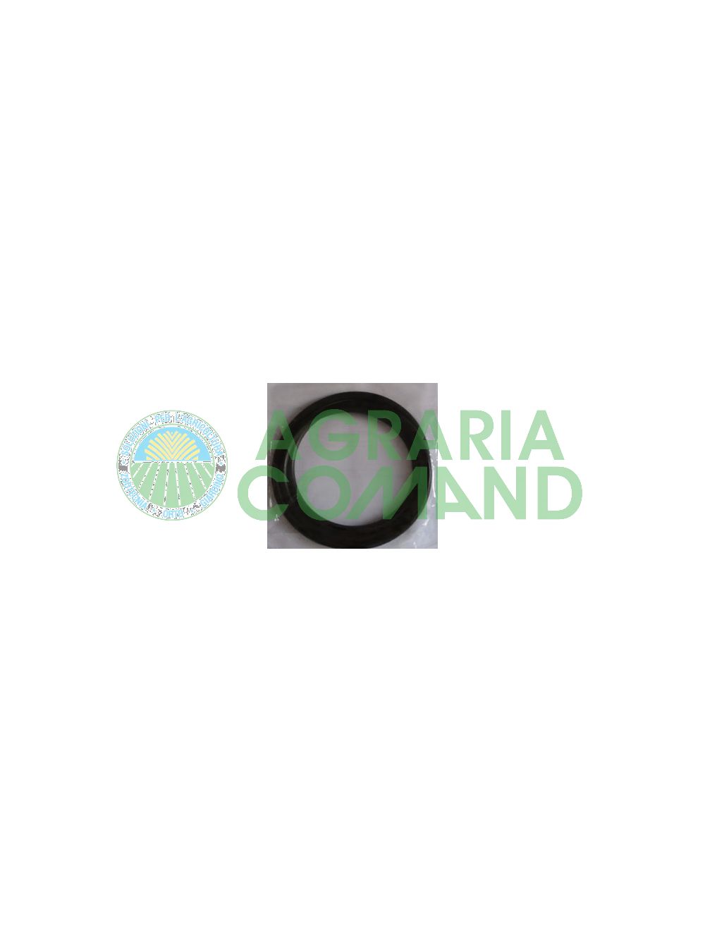 O ring testata filtro laguna per laghetto