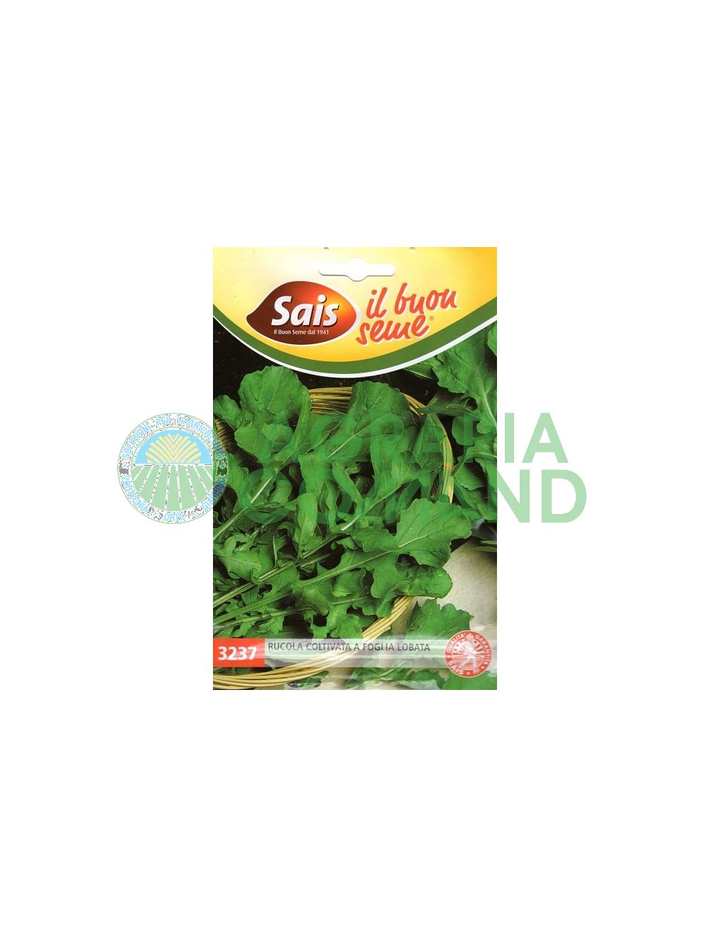 Rucola a foglia lobata