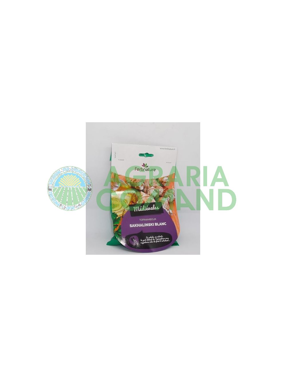 Topinambur rizoma bianco