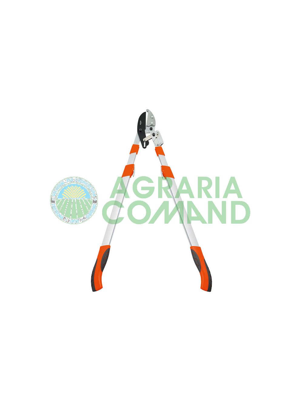 Troncarami telescopico a cricchetto