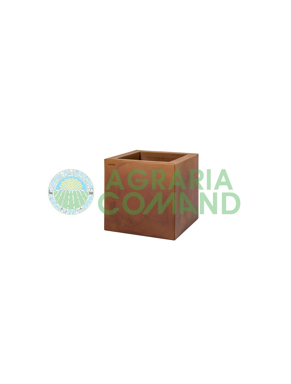 Corten