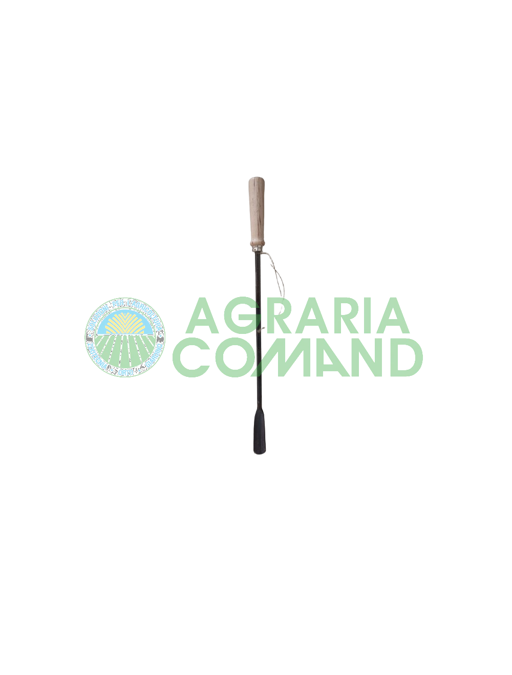 Ferro leva asparagi