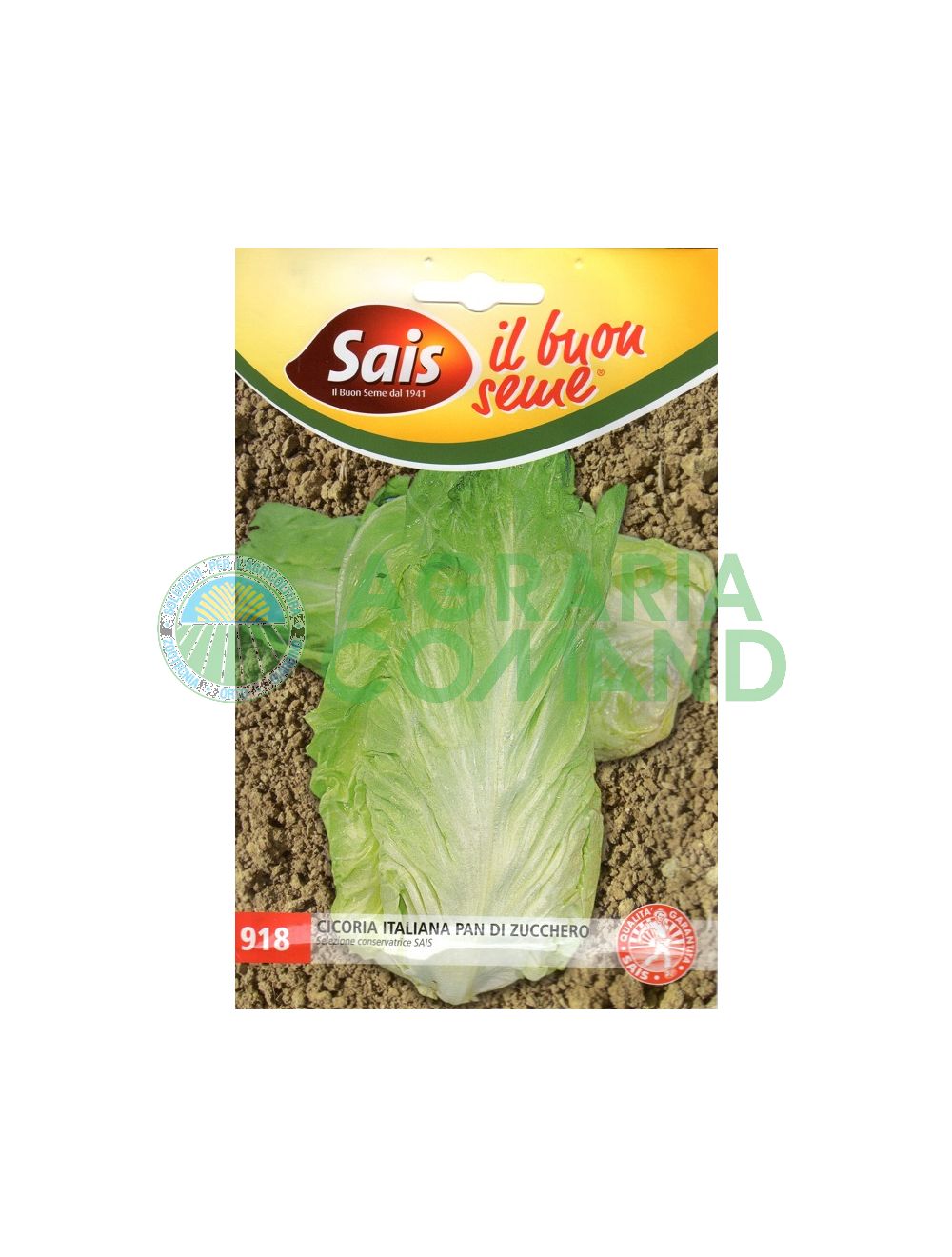 Semi cicoria Pan di Zucchero