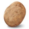Patate Kennebec thumbnail