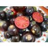 Pomodoro nero sun black thumbnail