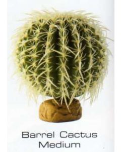 BARREL CACTUS MEDIUM - DESERT PLANTS