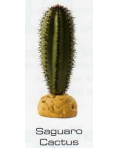 SAGUARO CACTUS - DESERT PLANTS