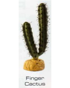 FINGER CACTUS - DESERT PLANTS