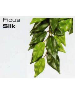 FICUS SILK LARGE - JUNGLE PLANTS