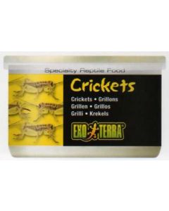 CRICKETS 34 GR. / 1.2 ONCIA - GRILLI