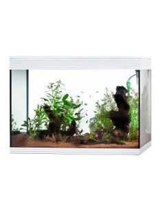 Acquario pure led cube 130 lt