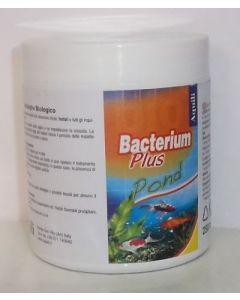 Bacterium_plus_laghetto