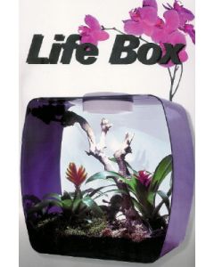 LIFE BOX VIOLA CON LUCI