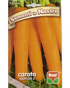 Carota nantese in nastro