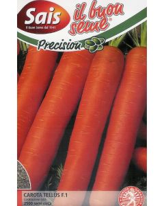 Seme carota Tellus costituzione Sais