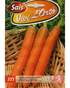 CAROTA NANTESE MIGLIORATA 2 o NANTESE DI CHIOGGIA 2 gr.50