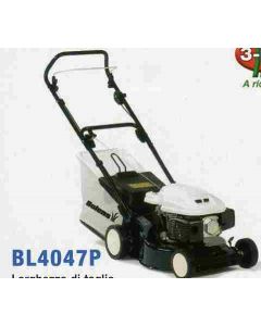 RASAERBA A SCOPPIO  BL4042P