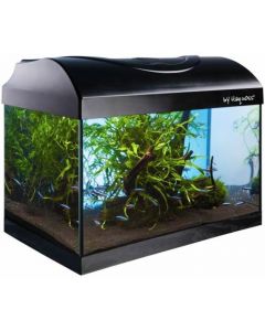 ACQUARIO DIVERSA 40 HAQUOSS LT.25