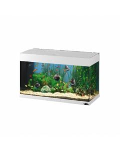 ACQUARIO DUBAI 80 BIANCO