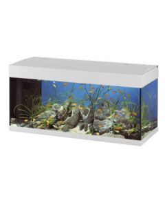 ACQUARIO DUBAI 120 WHITE