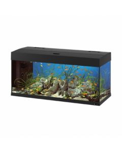 ACQUARIO DUBAI 120 BLACK