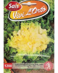 INDIVIA SCAROLA VERDE A CUORE PIENO - DERBY