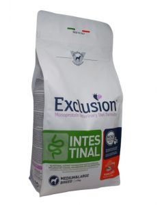 exclusion-diet-intestinal-dog