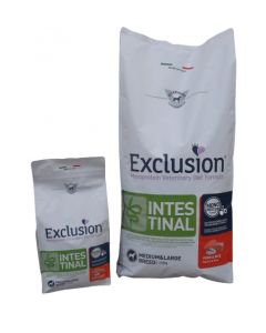 Exclusion intestinal dog medium large