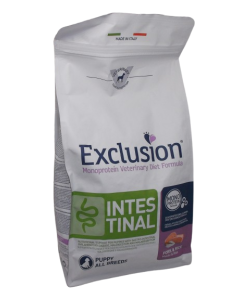 Exclusion Puppy Intestinal