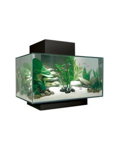 FLUVAL  EDGE