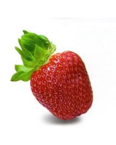 Fragola Dulcinea