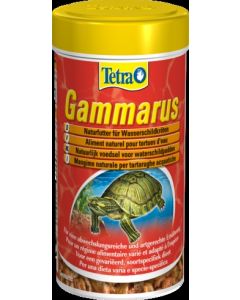 Tetra-gammarus-gamberetti