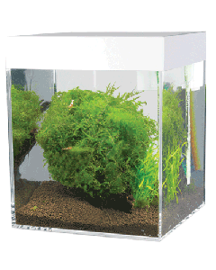 ACQUARIO ASKOLL PURE WHITE S LT.13 