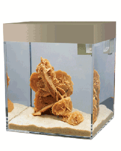 ACQUARIO ASKOLL NATURAL SAND  S  LT.13 