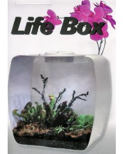 LIFE BOX BIANCO CON LUCI