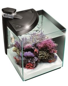 New More 30R Acquario marino