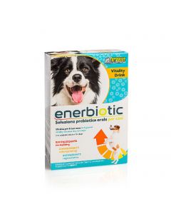 Enerbiotic dog