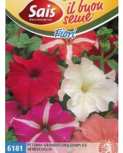 Petunia grandiflora semplice in miscuglio