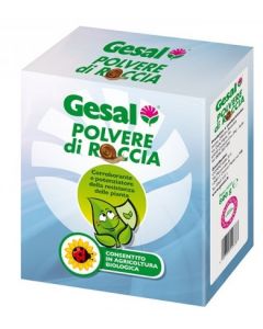 Gesal_polvere_di_roccia