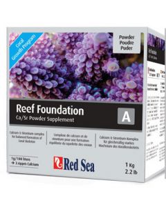 RED SEA REEF FOUNDATION  A  KG.1