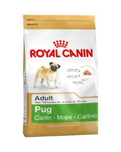 PUG Carlino Adulto crocchette kg.1,5 Royal Canin