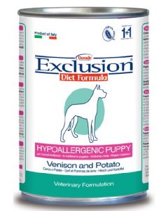 Exclusion_Hypoallergenic_puppy_umido