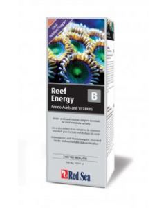RED SEA REEF ENERGY  B   ML.500