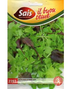 Misticanza Baby Leaf Sais